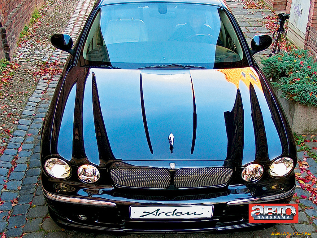 , jaguar